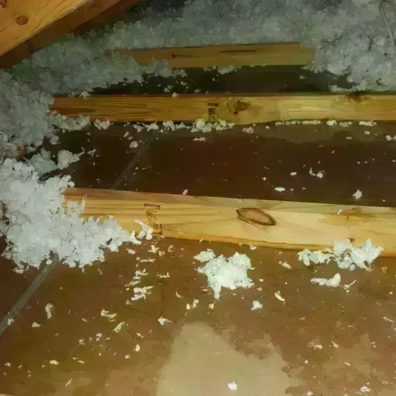 Attic Water Damage in Kerens, TX